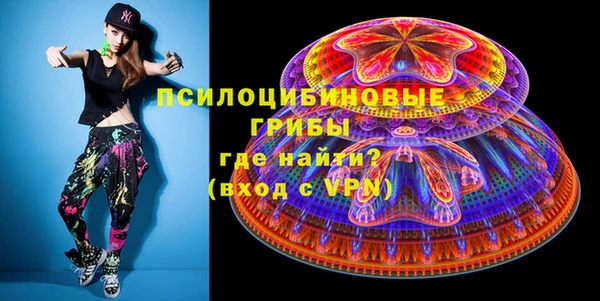 Альфа ПВП Новозыбков