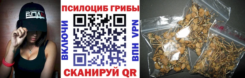 дарнет шоп  Кирово-Чепецк  Псилоцибиновые грибы мухоморы 