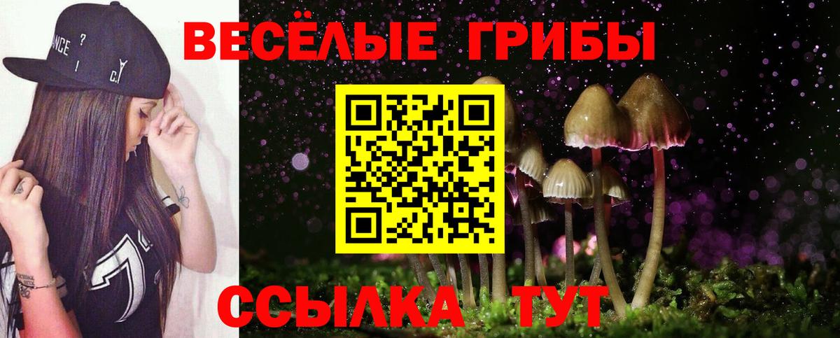 Псилоцибиновые грибы MAGIC MUSHROOMS  Вход с VPN  Кирово-Чепецк 